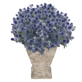   Blue Hobbit 