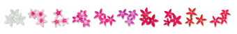 
                        Pentas
             
                        lanceolata F₁
             
                        Graffiti® 20/20
             
                        Mix
            