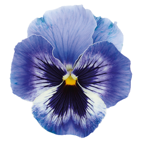   Inspire® Plus Marina