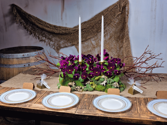 
                        Viola
             
                        wittrockiana F₁
             
                        Inspire® DeluXXe®
             
                        Rose Velour
            