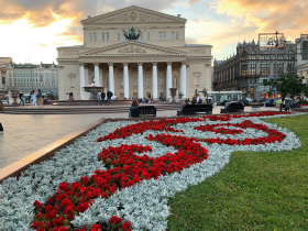 Begonia tuberhybrida F₁ Nonstop® Mocca