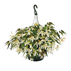   Sun Cities Collection Santa Barbara