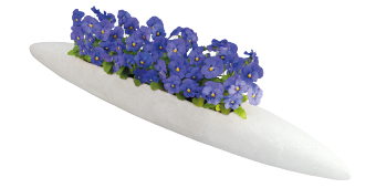 
                        Viola
             
                        cornuta F₁
             
                        Admire®
             
                        Blue
            