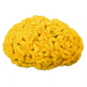 Brainiac Lightning Yellow