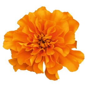 Super Hero™ Orange