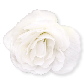 Nonstop® White