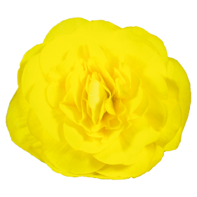 Nonstop® Yellow