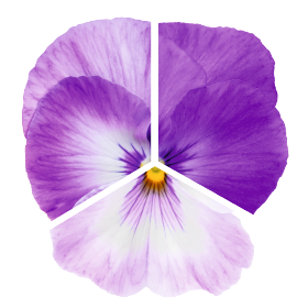   Inspire® Plus Marina Lavender