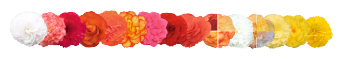 
                        Begonia
             
                        tuberhybrida F₁
             
                        Nonstop®
             
                        Deep Rose
            