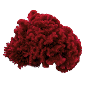   Brainiac Raven Red